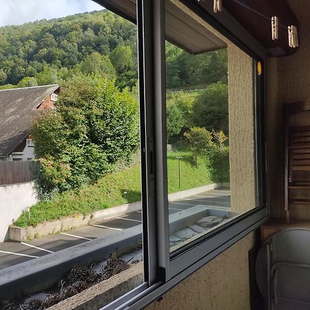 Appartement Confortable Saint Lary Village Extérieur photo